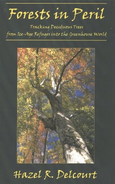 Hazel R Delcourt - Forests in Peril, Häftad