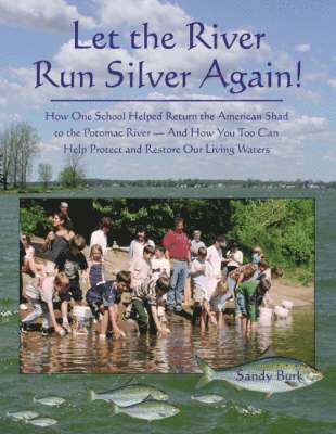 Let the River Run Silver Again! 1