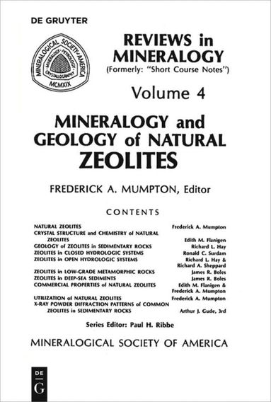 bokomslag Mineralogy and Geology of Natural Zeolites