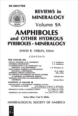Amphiboles and Other Hydrous Pyriboles 1