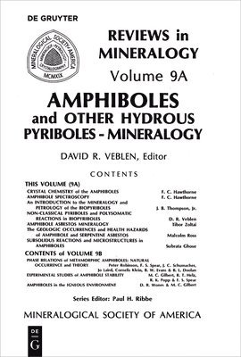 David R. Veblen, Paul H. Ribbe - Amphiboles and Other Hydrous Pyriboles, Häftad