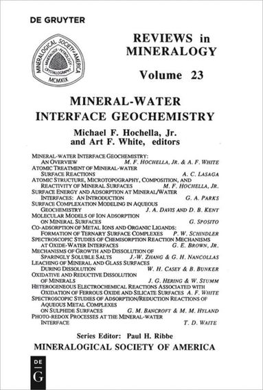 bokomslag Mineral-Water Interface Geochemistry