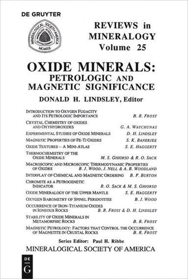 bokomslag Oxide Minerals