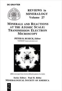 bokomslag Minerals and Reactions at the Atomic Scale
