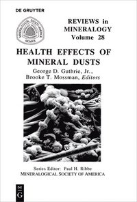 bokomslag Health Effects of Mineral Dusts
