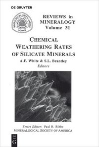 bokomslag Chemical Weathering Rates of Silicate Minerals