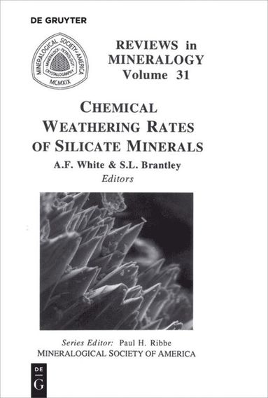 bokomslag Chemical Weathering Rates of Silicate Minerals