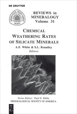 Chemical Weathering Rates of Silicate Minerals 1