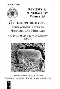 bokomslag Geomicrobiology