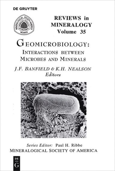 bokomslag Geomicrobiology