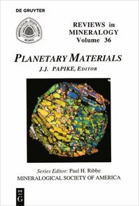 bokomslag Planetary Materials