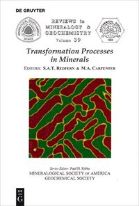bokomslag Transformation Processes in Minerals