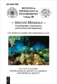 bokomslag Sulfate Minerals