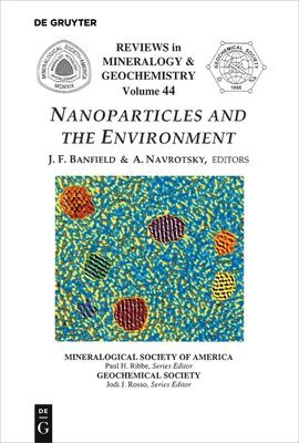 bokomslag Nanoparticles and the Environment