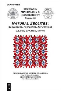 bokomslag Natural Zeolites