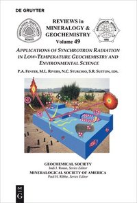 bokomslag Applications of Synchrotron Radiation in Low-Temperature Geochemistry and Environmental Science