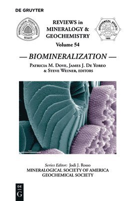 bokomslag Biomineralization