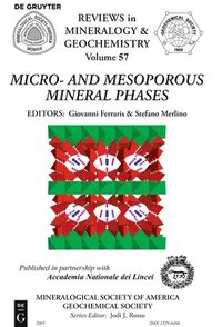 bokomslag Micro- and Mesoporous Mineral Phases