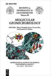 bokomslag Molecular Geomicrobiology