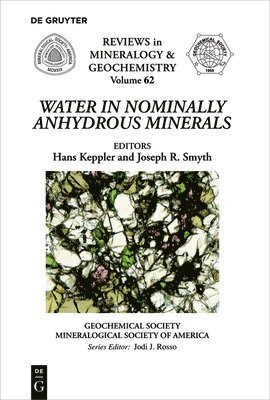 Water in Nominally Anhydrous Minerals 1