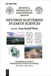 bokomslag Neutron Scattering in Earth Sciences