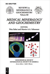 bokomslag Medical Mineralogy and Geochemistry