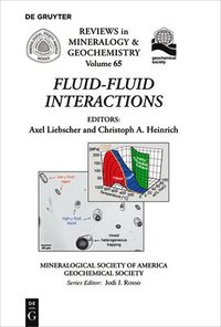 bokomslag Fluid-Fluid Interactions
