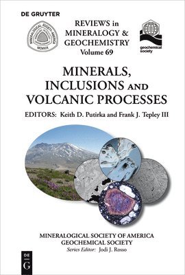 bokomslag Minerals, Inclusions And Volcanic Processes
