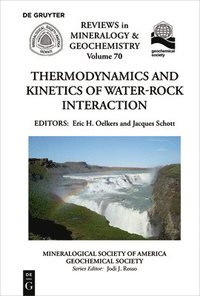 bokomslag Thermodynamics and Kinetics of Water-Rock Interaction
