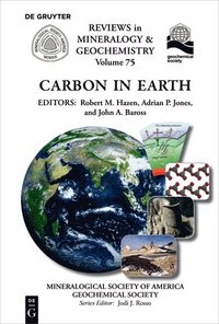 bokomslag Carbon in Earth