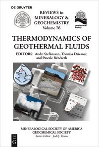 bokomslag Thermodynamics of Geothermal Fluids