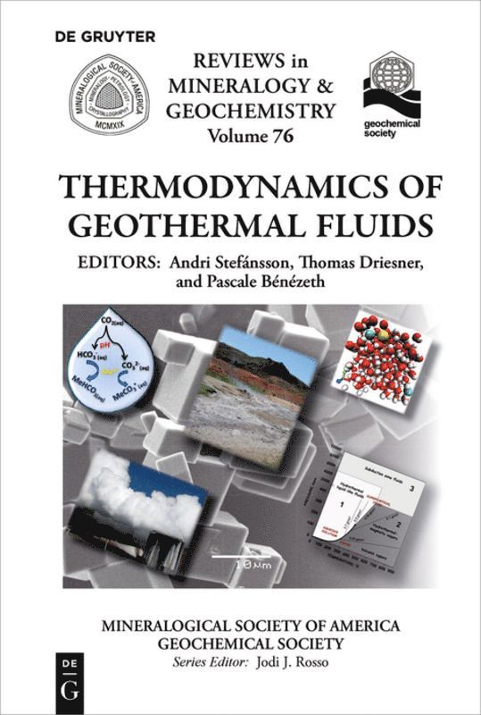 Andri Stefánsson, Thomas Driesner, Pascale Bénézeth - Thermodynamics of Geothermal Fluids, Häftad