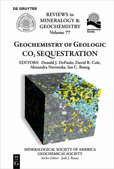 Donald J. DePaolo, David R. Cole, Alexandra Navrotsky, Ian C. Bourg - Geochemistry of Geologic CO2 Sequestration, Häftad