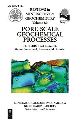 bokomslag Pore Scale Geochemical Processes