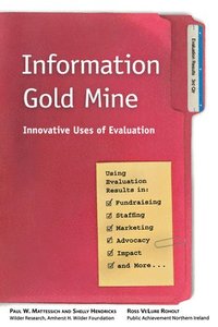 bokomslag Information Gold Mine