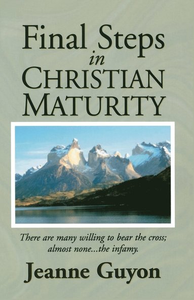 bokomslag Final Steps in Christian Maturity
