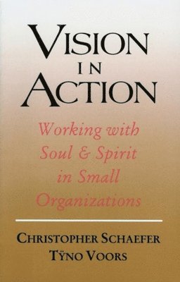 Vision in action 1