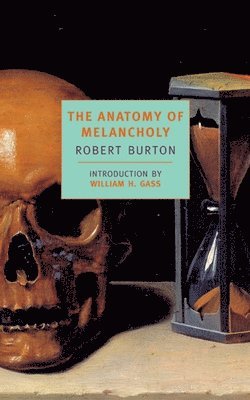 bokomslag Anatomy Of Melancholy