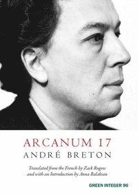 bokomslag Arcanum 17