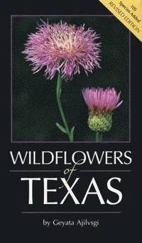bokomslag Wildflowers of Texas
