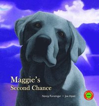 bokomslag Maggie's Second Chance