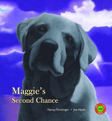 Maggie's Second Chance 1