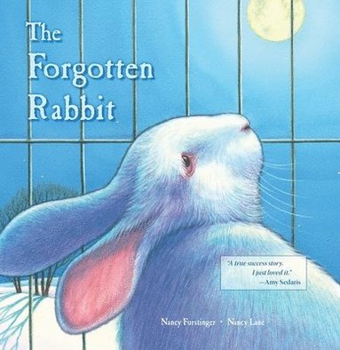 bokomslag The Forgotten Rabbit