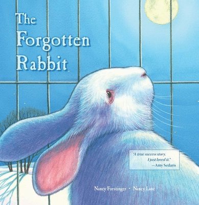 The Forgotten Rabbit 1