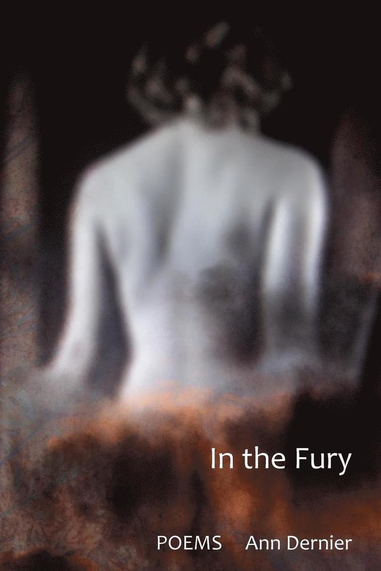 In the Fury 1
