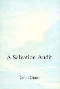 bokomslag Salvation Audit