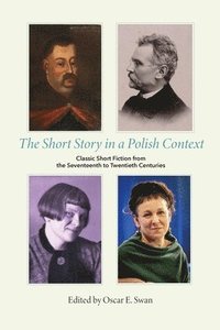 bokomslag The Short Story in a Polish Context