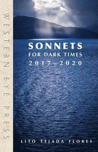 bokomslag Sonnets for Dark Times: 2017-2020