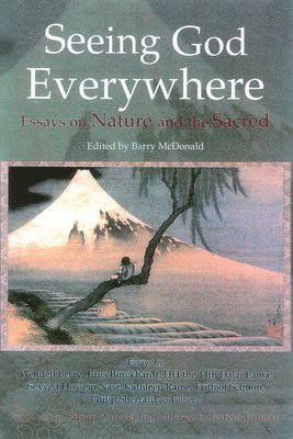 Barry McDonald - Seeing God Everywhere, Häftad