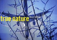 bokomslag Willie Doherty - True Nature